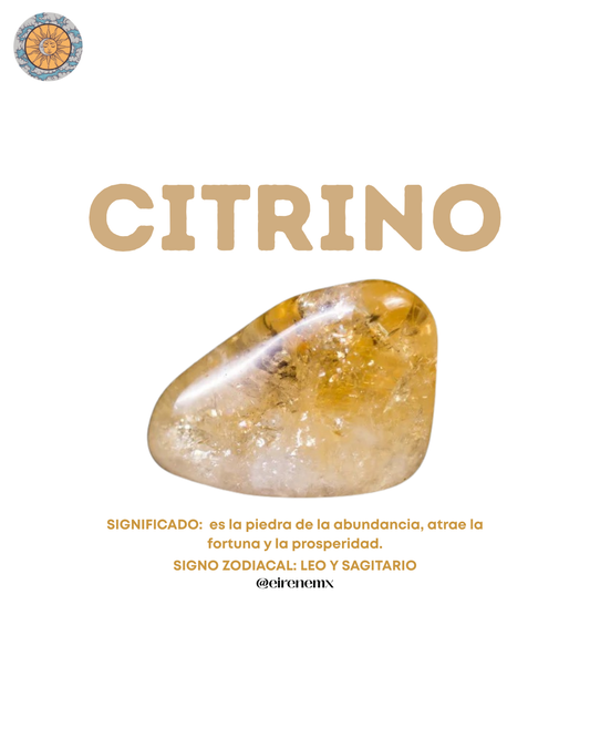 Anillo Piedra Chip Doble